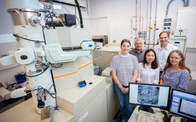 Polymer-Käfig macht Enzym zum hitzestabilen Biokatalysator